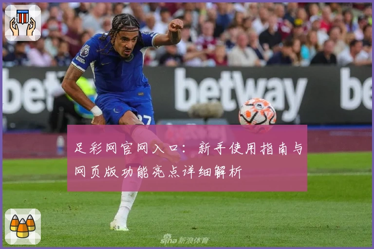 足彩网官网入口：新手使用指南与网页版功能亮点详细解析